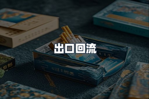 出口回流